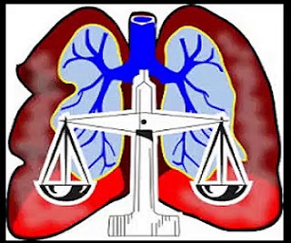 Asbestos Mesothelioma Lawyer