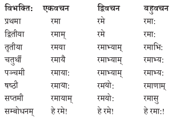 Abhyasvan Bhav Class 9 Solutions Chapter 10 शब्दरूपाणि