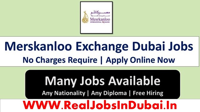 Merskanloo International Exchange Careers Jobs Vacancies 2024