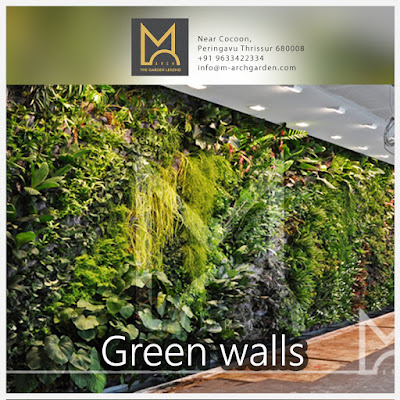  landscapers kerala|M-arch garden