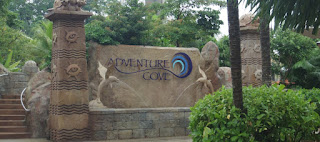  Adventure Cove Waterpark 