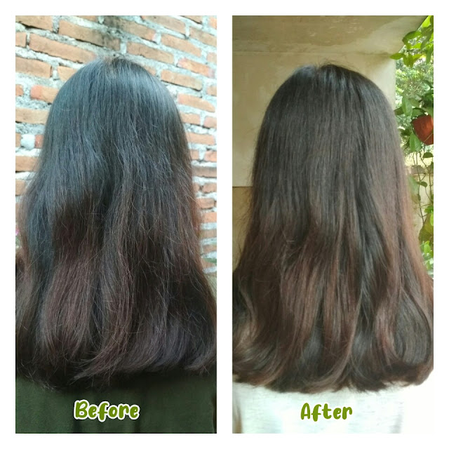 Review Green Angelica Hair Tonic Penumbuh Rambut