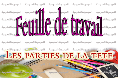 Feuille de travail - Les partie de tête - الموسوعة المدرسية