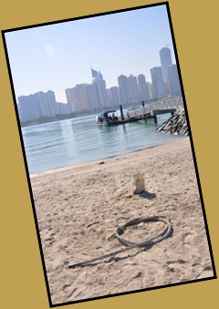 Clean Up Arabia #6