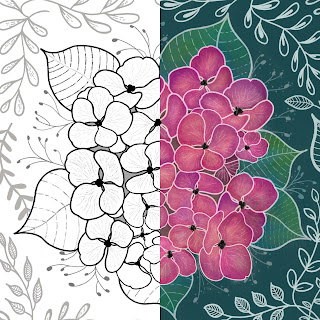 Hydrangea colouring sheets