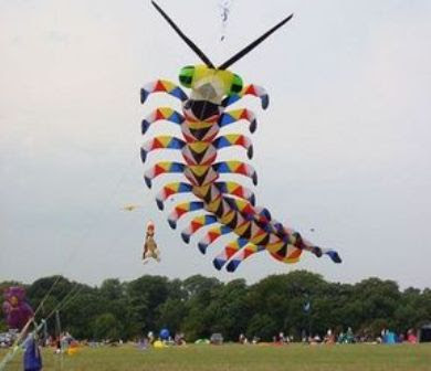 International Kite Festival 2011 – Ahmedabad, Gujarat, India., Uttarayan or