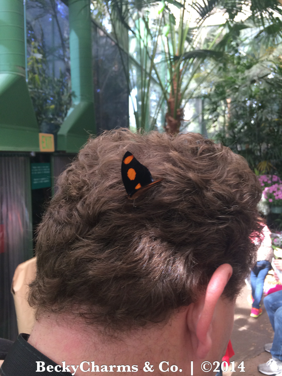 Our Trip to Butterfly Jungle at San Diego Safari Park for Spring Break 2014 by BeckyCharms