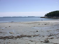 Birch Point Beach State Park at Low Tide