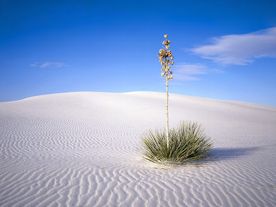 desktop wallpaper nature hd. wallpaper desktop nature hd.