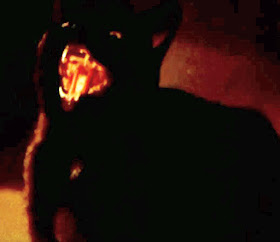 The black cat in The Legend of Hell House