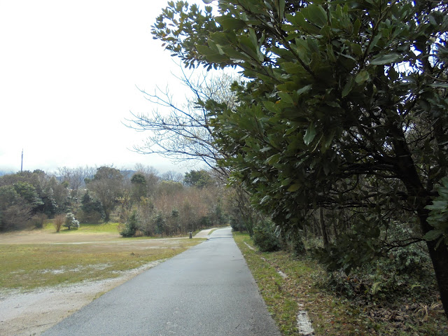 弥生のムラの広場