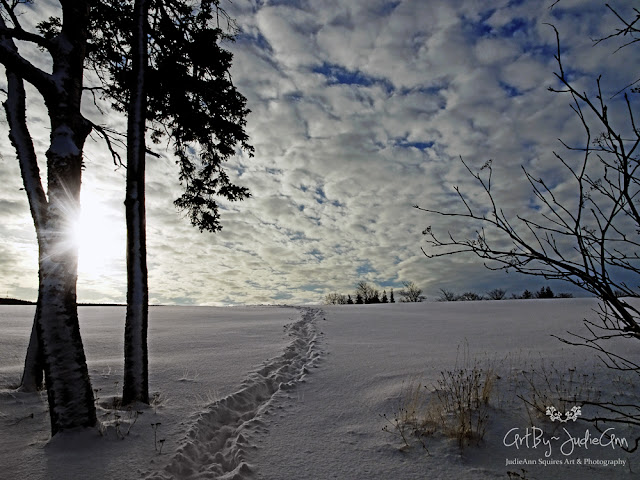 ArtByJudieAnn Snowdrifts & Sunbeams