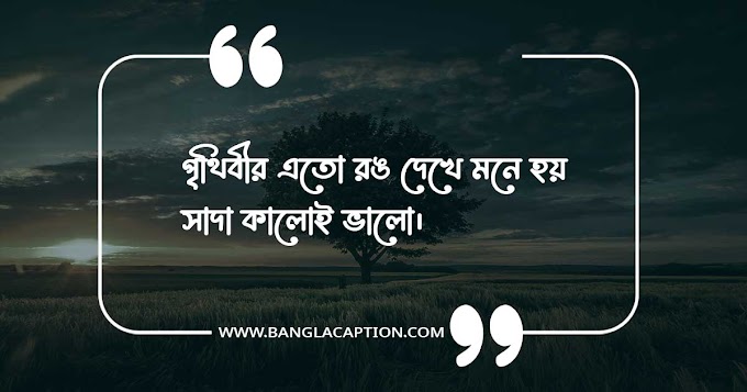 সাদা কালো ছবির ক্যাপশন/Black And White Photo Caption Bangla