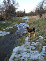 Meltwaters turn the path into a stream