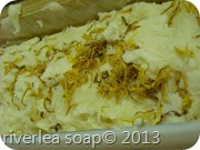 DSCN0013