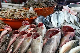 أسعار الأسماك فى بداية تعاملات اليوم الخميس 7 سبتمبر 2023 بسوق العبور