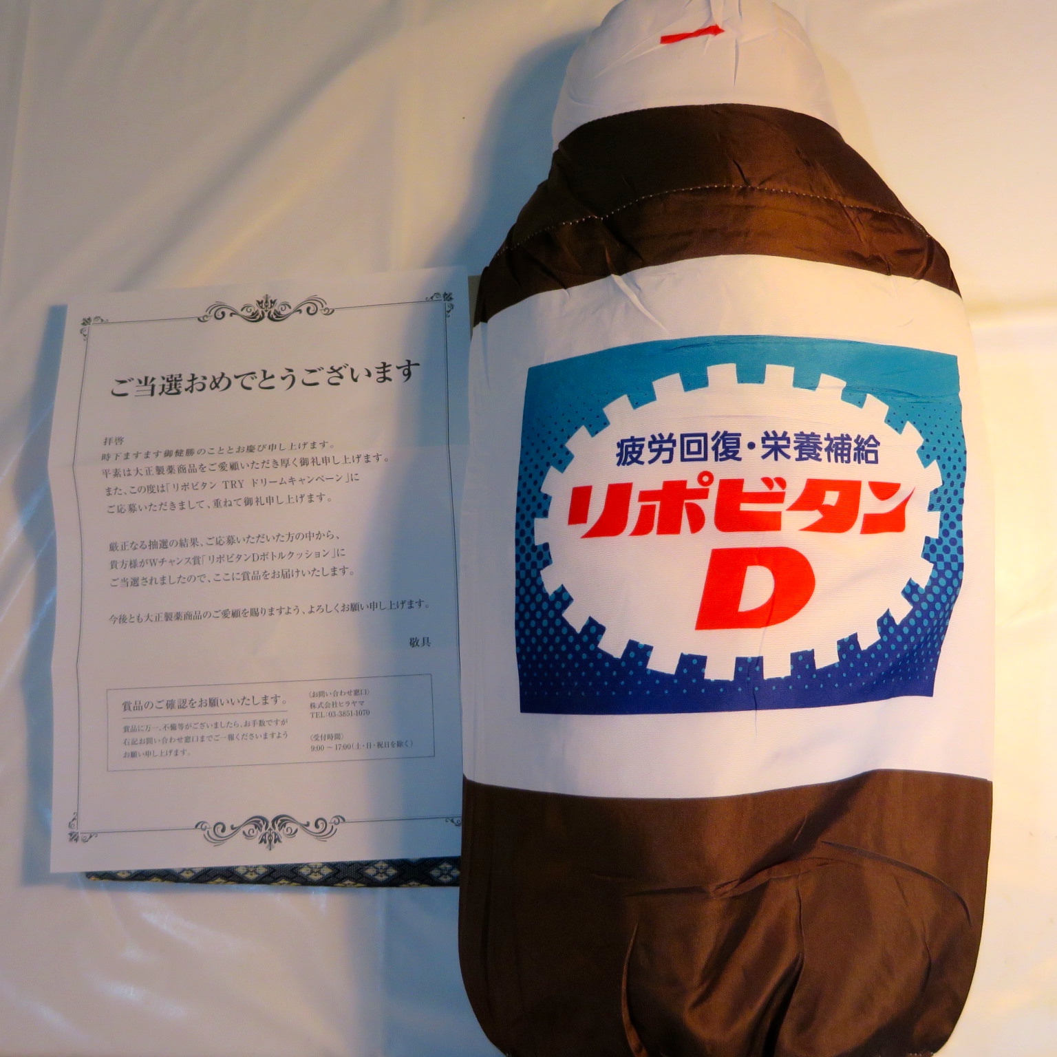 Nobufumi Ohara Web これが リポビタンdボトルクッション