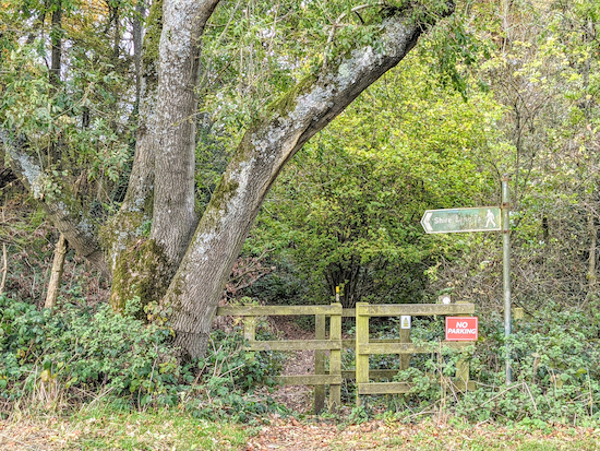 Cross Cholesbury Road then take Tring Town footpath 8