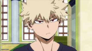 ヒロアカ OVA カード 雄英ヒーローズ・バトル 僕のヒーローアカデミア アニメ My Hero Academia UA Heroes Battle