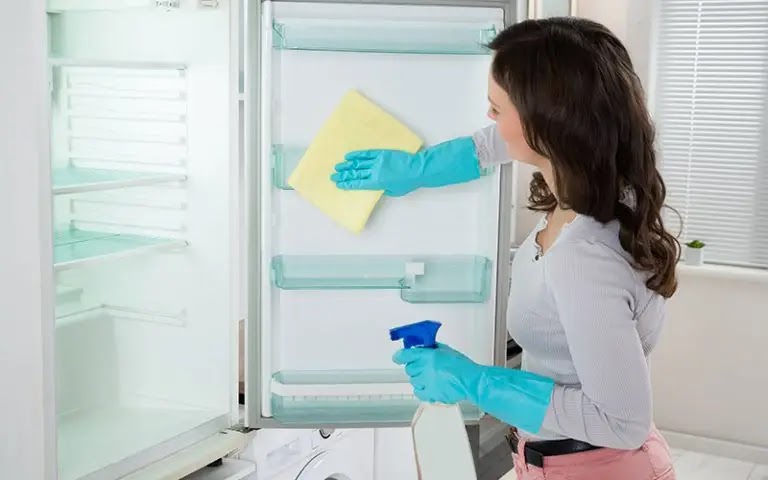 Effortlessly, the fastest way to clean the refrigerator door from limescale