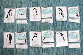 Types of Penguins 3 Part Cards with Habitat Map