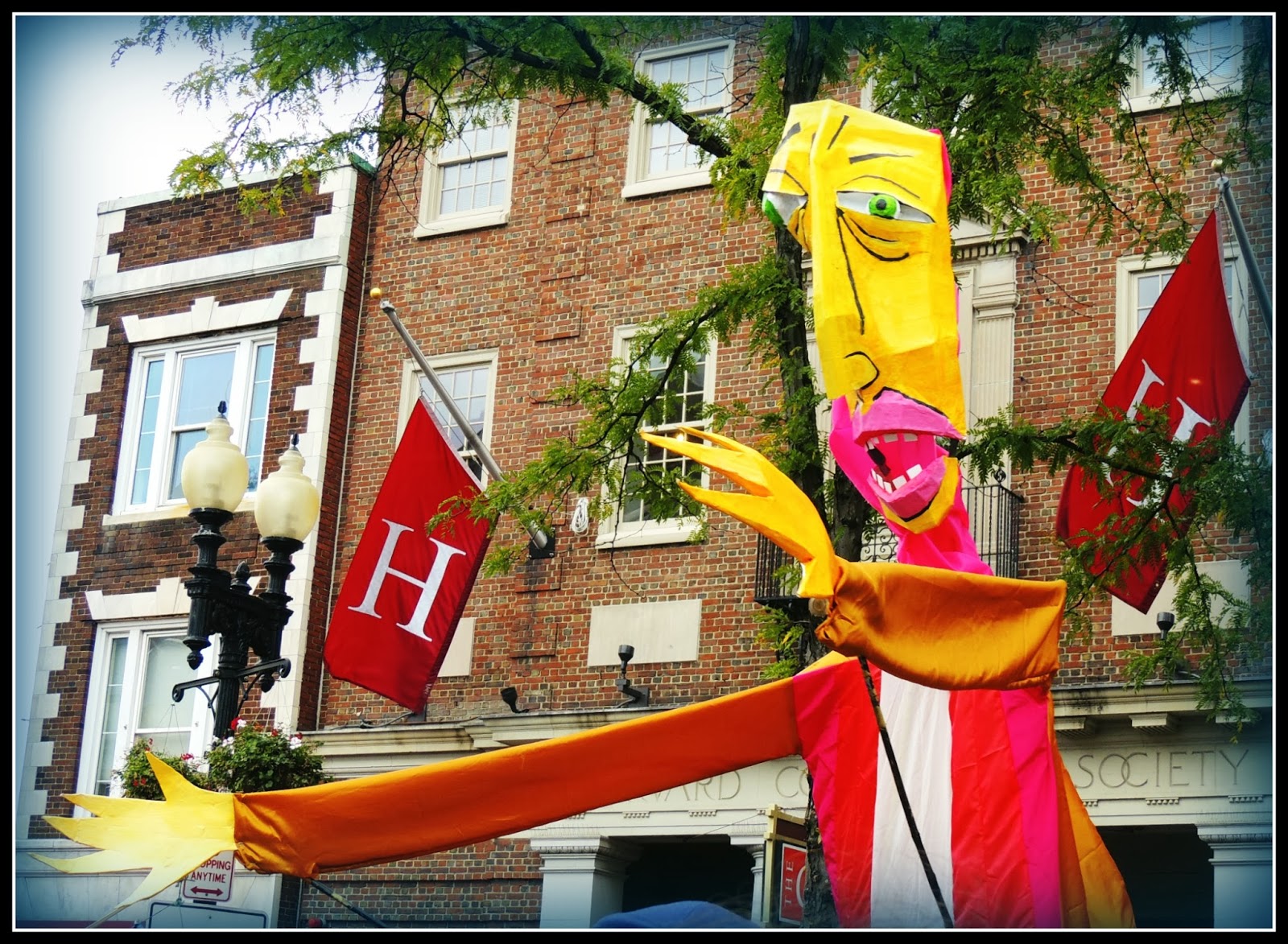 Honk! en Cambridge