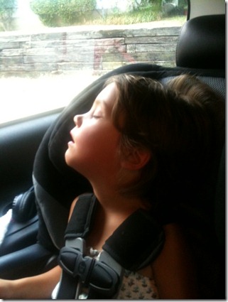 photo(19)