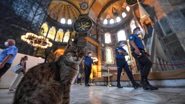 Ramai Protes Perubahan Hagia Sophia, Politikus Islam: Zionis Kok Dibiarkan?
