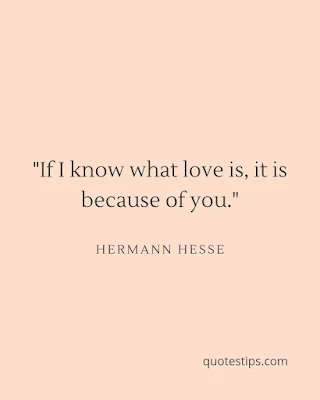 "If I know what love is, it is because of you." – Hermann Hesse