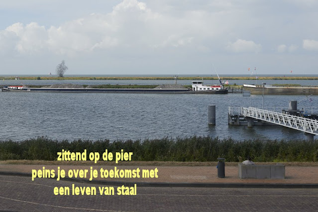 Haiku van de dag, Exposure in Lelystad