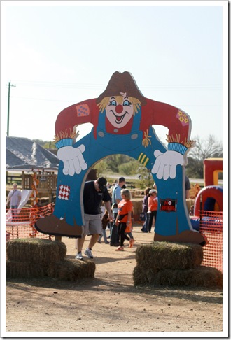 pumpkin patch IMG_9836