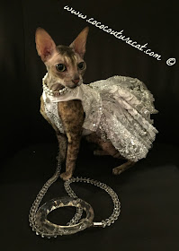 Coco Cornish Rex Couture Party Dress NYC