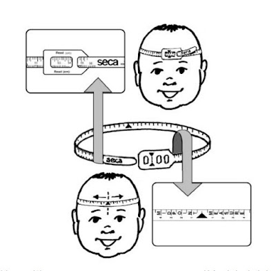 instrucciones de la cinta seca 203 para medida de perimetro craneal
