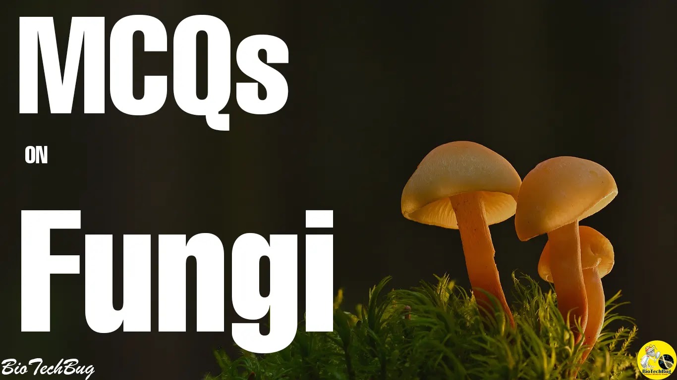 mcqs on nutrition in fungi