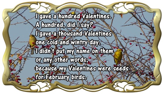 Valentine's Day card