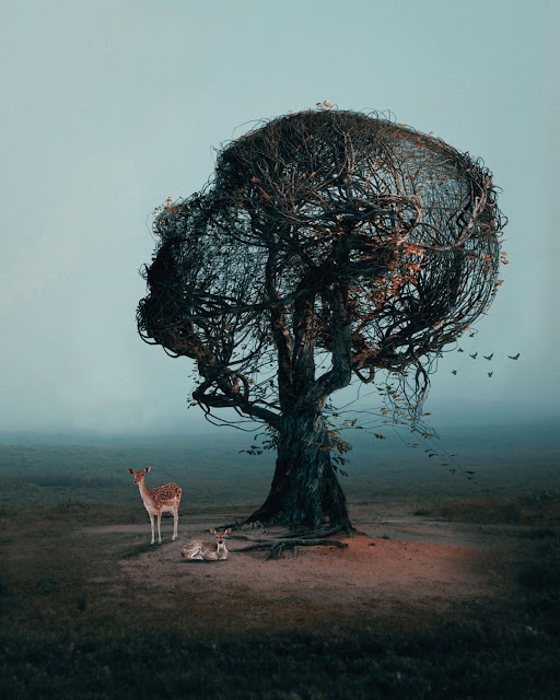 Photo manipulations and digital collages by Abdullah Evindar