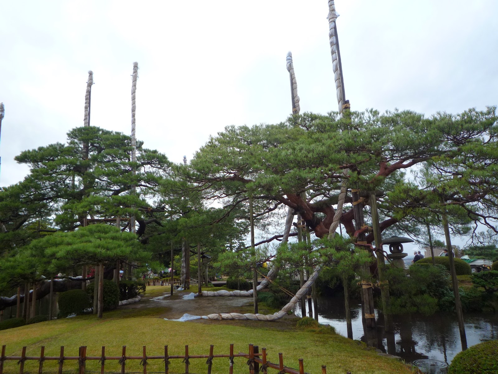N氏の金沢ぶらり散歩日記 兼六園 雪吊 唐崎の松 霞が池 N氏の金沢ぶらり散歩日記 兼六園 雪吊 唐崎の松 霞が池