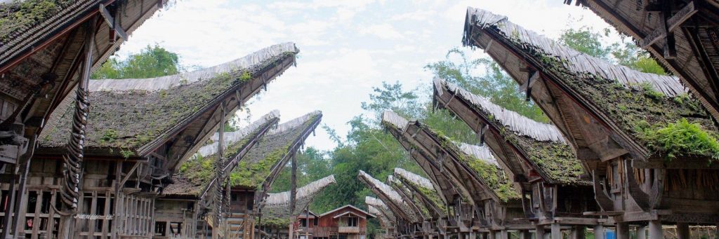 10 Kegiatan yang Wajib kamu Lakukan Saat Berlibur ke Tana Toraja, Nyesel Kalo Ada yang Terlewat!