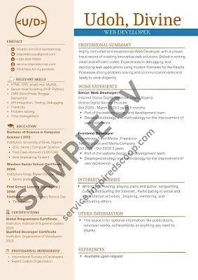 Professional resume and CV image