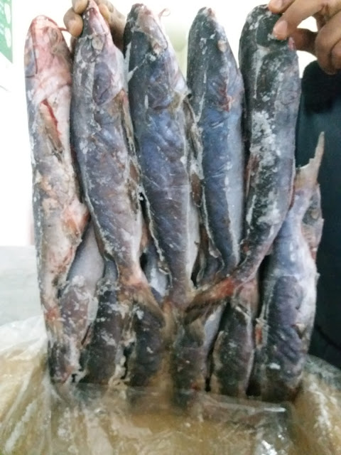 https://www.facebook.com/Bestqualityfishctg/