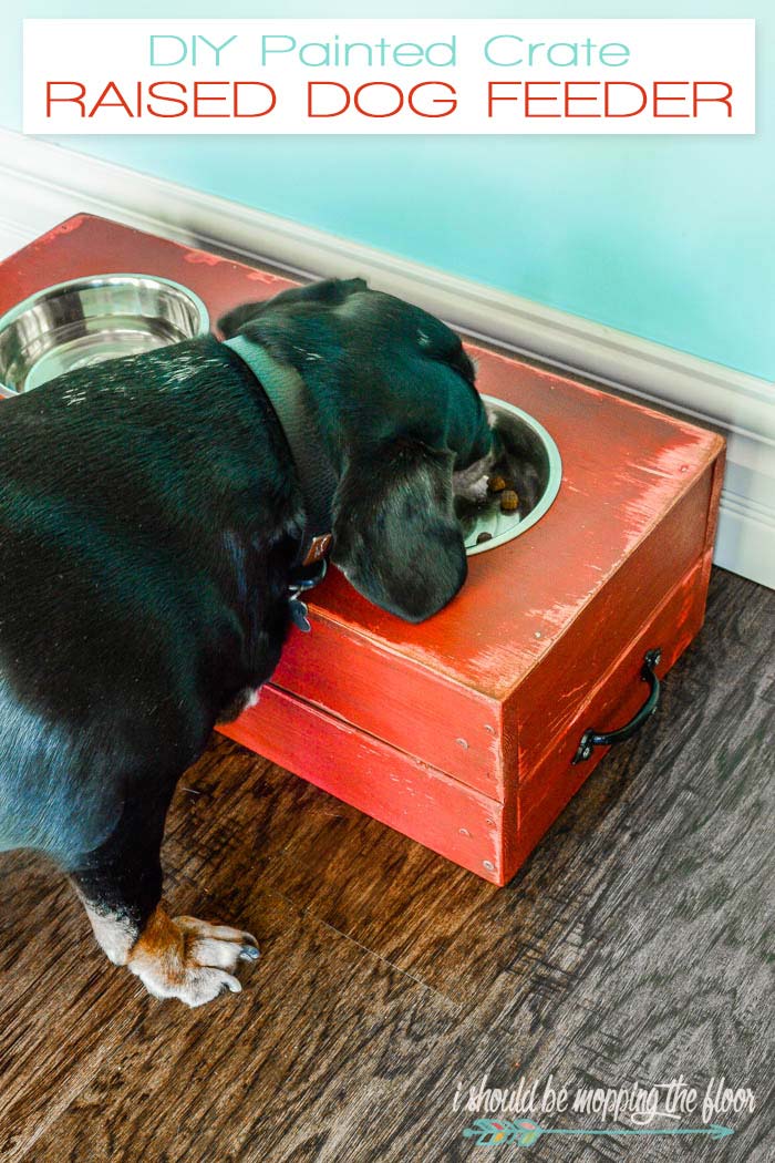 DIY Raised Dog Feeder