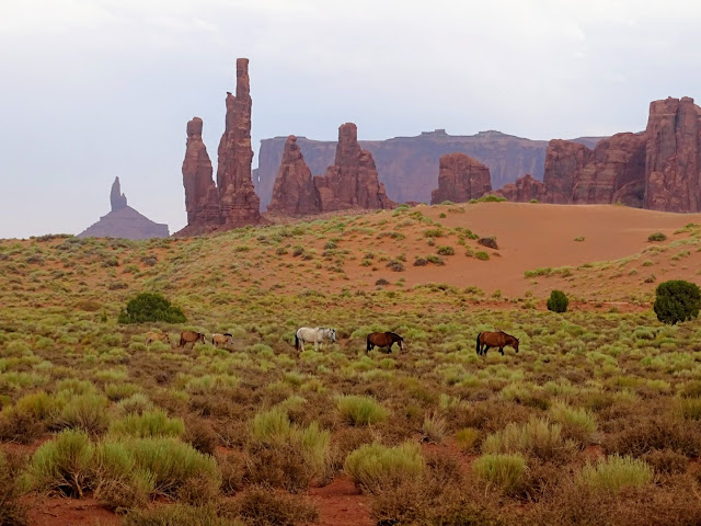 monumentvalleyphotodumoischevalusanavajo