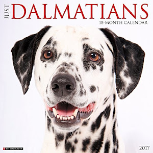 Just Dalmatians 2017 Wall Calendar (Dog Breed Calendars)