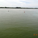 View album