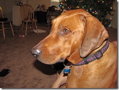 Christmas 2010 111