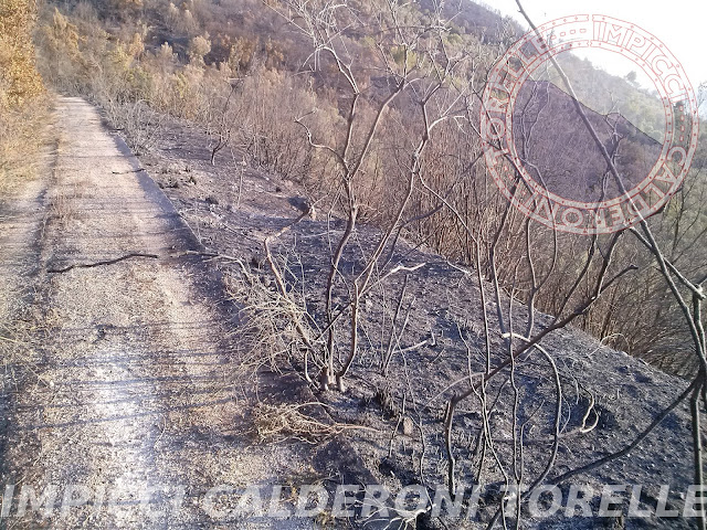 Incendio sulla strada Cerquelle, sul Monte Massico