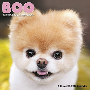 Boo Mini Wall Calendar (2017)