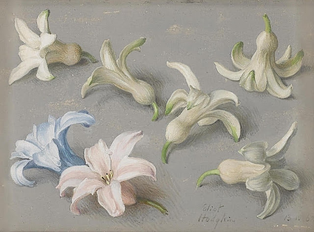 Eliot Hodgkin (1905-1987),  Hyacinth flowers, Jacinthes, aquarelle,