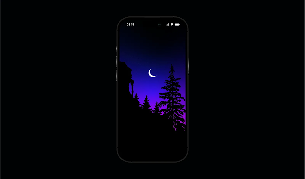 NIGHT FOREST WALLPAPER FOR PHONE