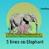 5 Lines on Elephant in English 